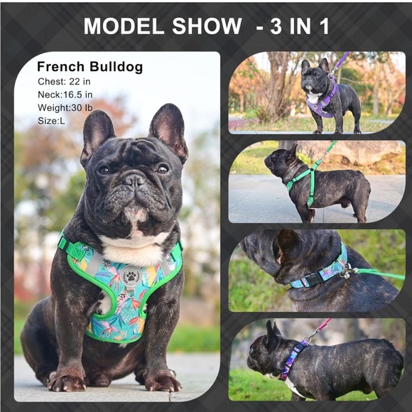 Dog harness and leash set - Picture 3 of 7